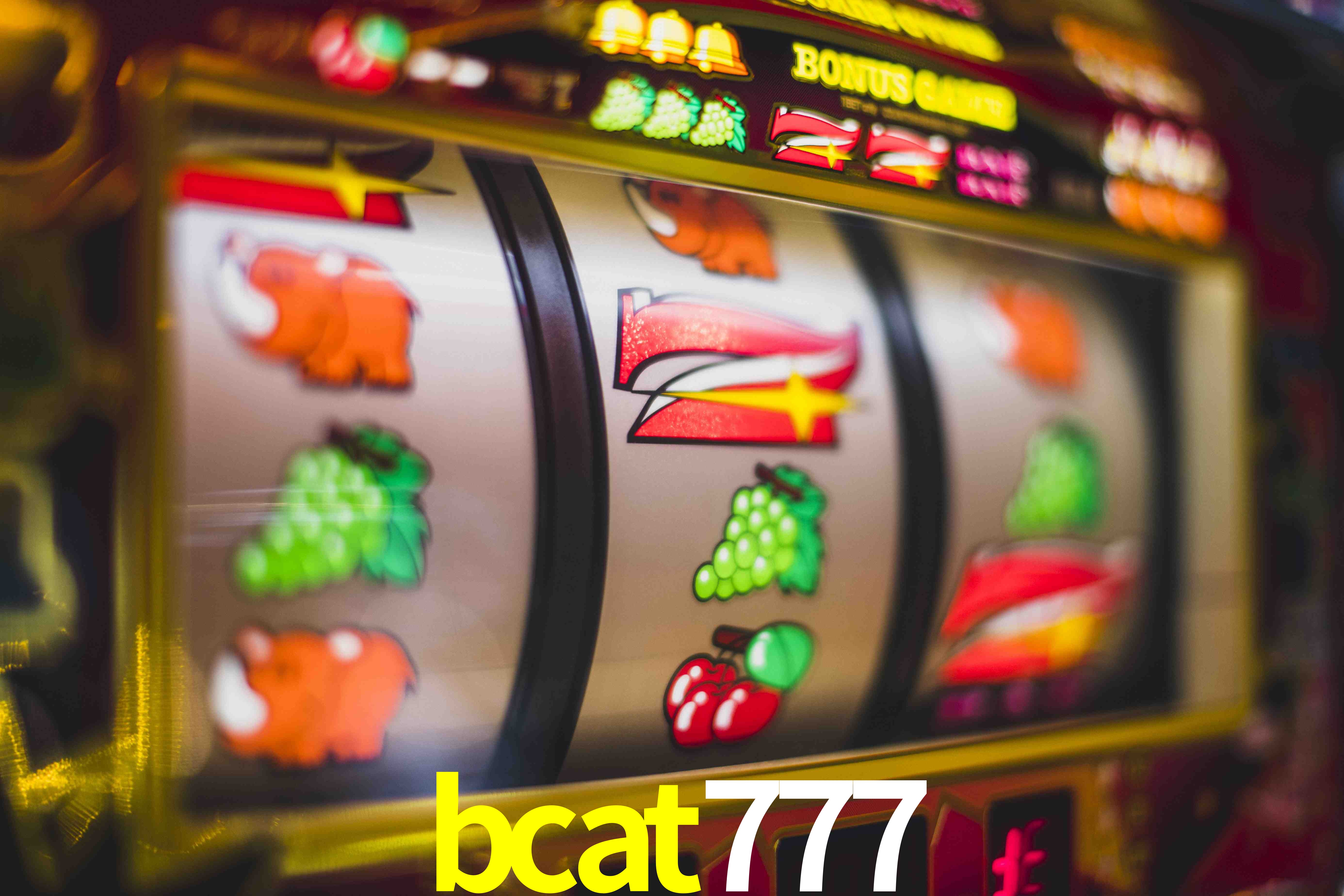 Sports Statistics bcat777